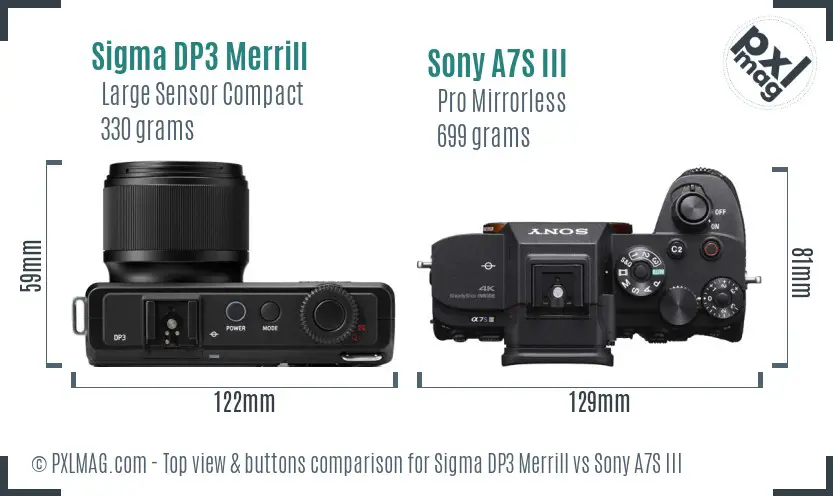 Sigma DP3 Merrill vs Sony A7S III top view buttons comparison