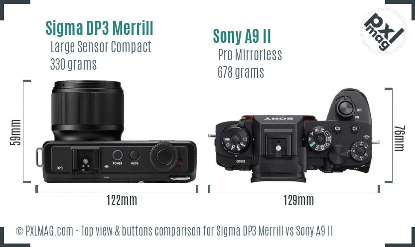 Sigma DP3 Merrill vs Sony A9 II top view buttons comparison Sigma DP3 Merrill vs Sony A9 II top view buttons comparison