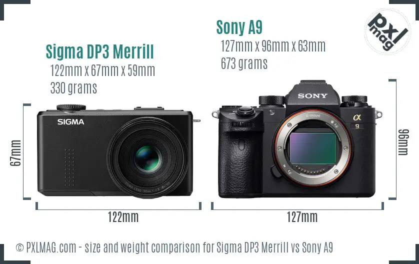 Sigma DP3 Merrill vs Sony A9 size comparison