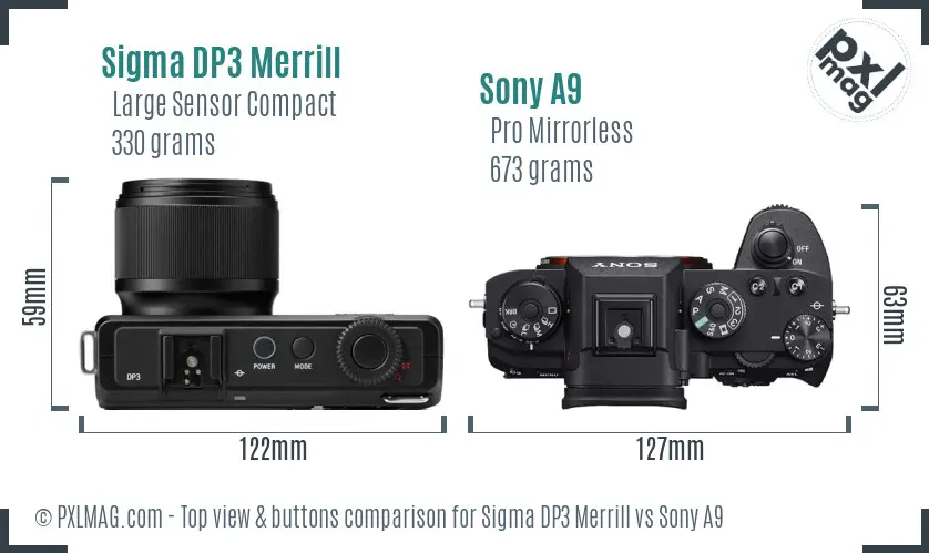 Sigma DP3 Merrill vs Sony A9 top view buttons comparison