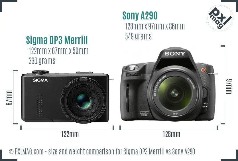 Sigma DP3 Merrill vs Sony A290 size comparison