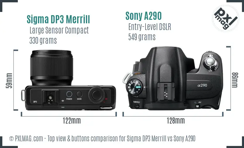 Sigma DP3 Merrill vs Sony A290 top view buttons comparison