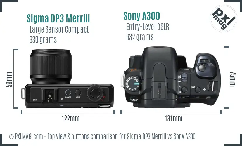 Sigma DP3 Merrill vs Sony A300 top view buttons comparison