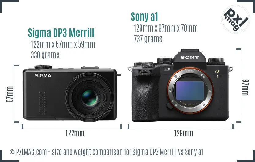 Sigma DP3 Merrill vs Sony a1 size comparison