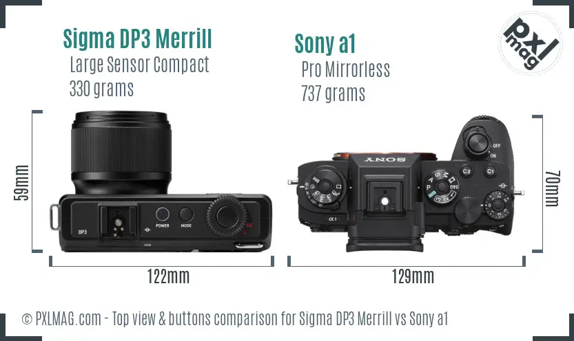 Sigma DP3 Merrill vs Sony a1 top view buttons comparison