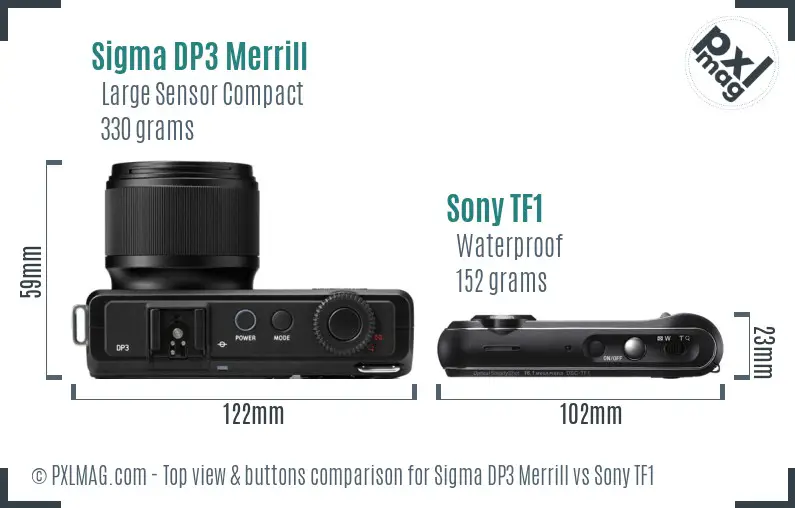 Sigma DP3 Merrill vs Sony TF1 top view buttons comparison