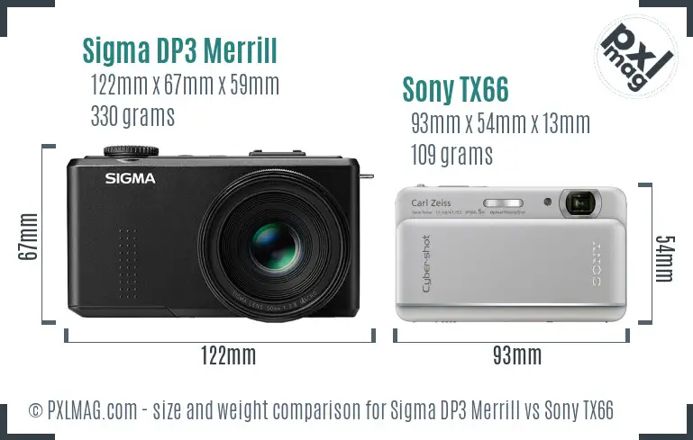 Sigma DP3 Merrill vs Sony TX66 size comparison