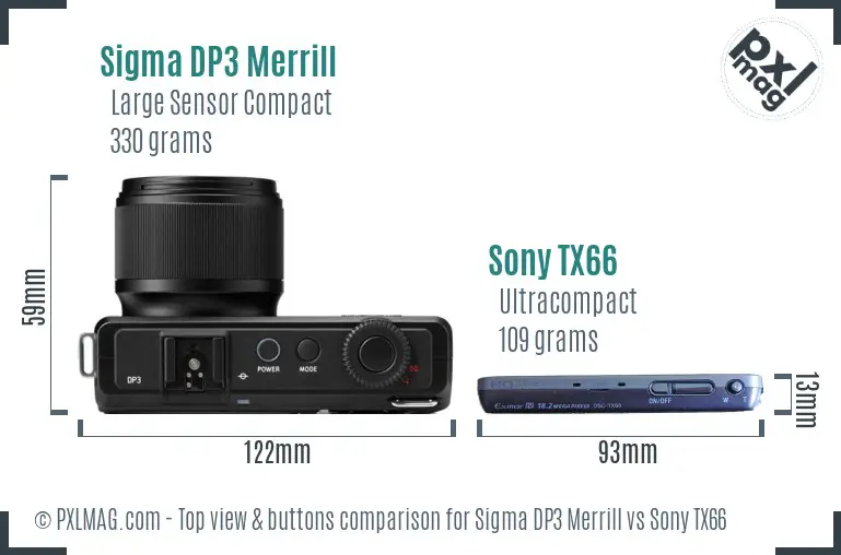 Sigma DP3 Merrill vs Sony TX66 top view buttons comparison