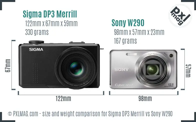 Sigma DP3 Merrill vs Sony W290 size comparison