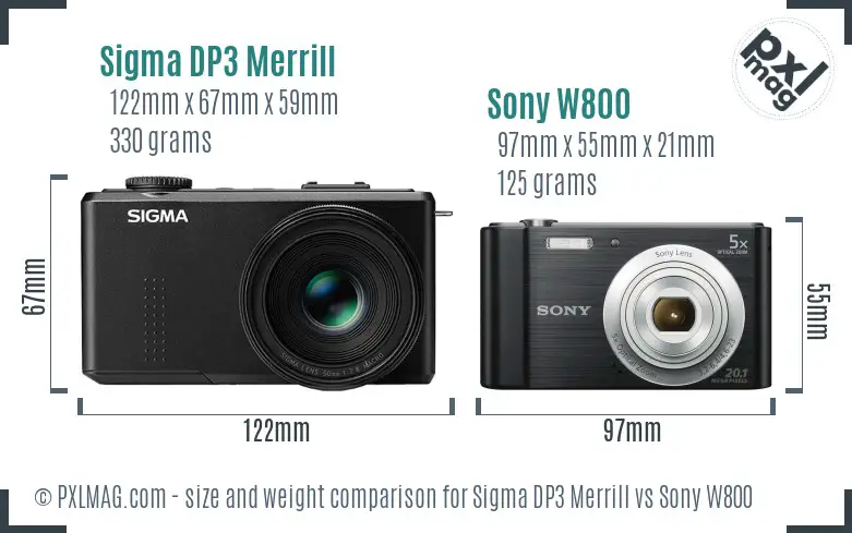 Sigma DP3 Merrill vs Sony W800 size comparison