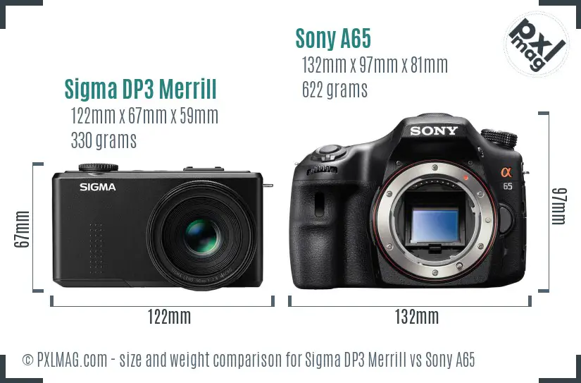 Sigma DP3 Merrill vs Sony A65 size comparison