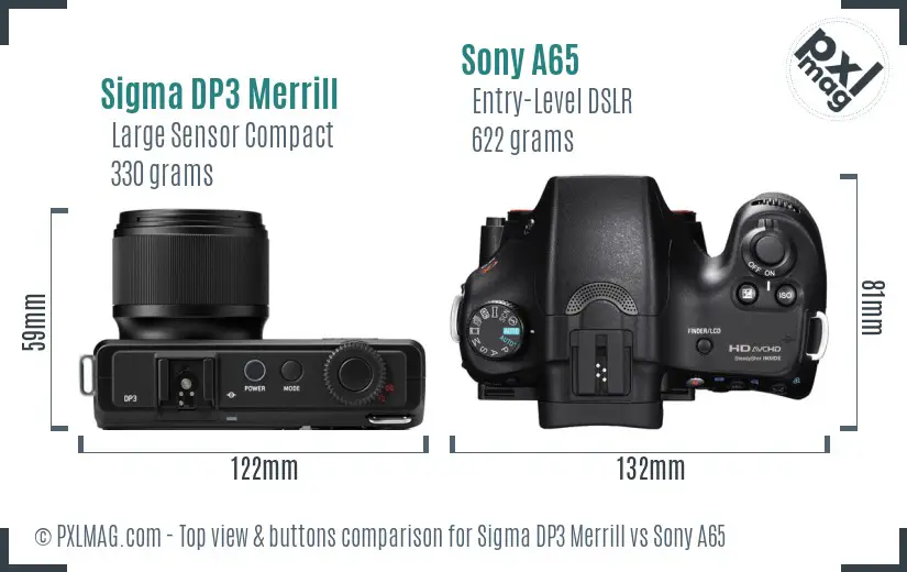 Sigma DP3 Merrill vs Sony A65 top view buttons comparison
