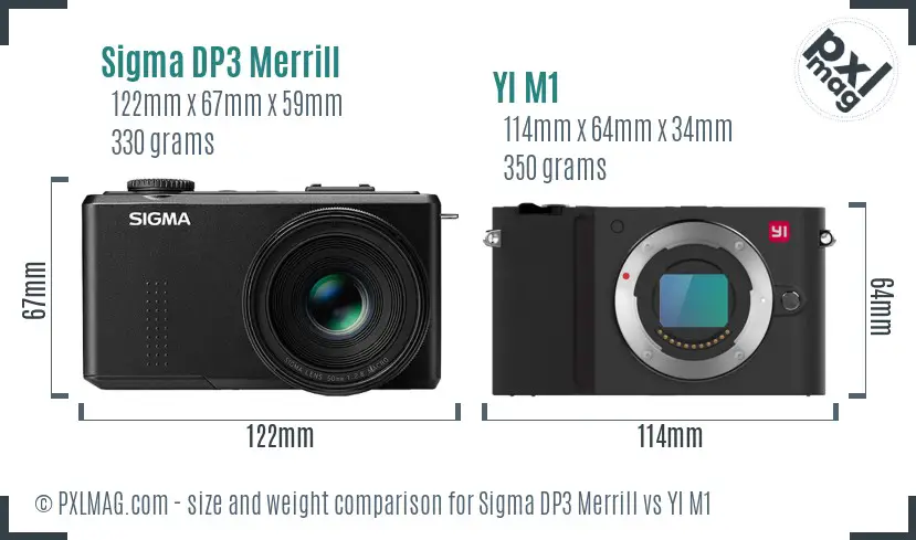 Sigma DP3 Merrill vs YI M1 size comparison