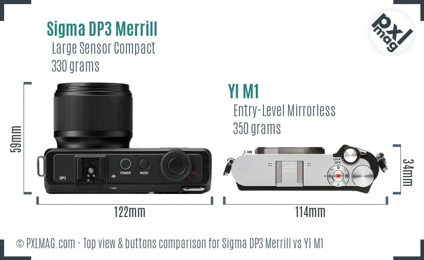 Sigma DP3 Merrill vs YI M1 top view buttons comparison