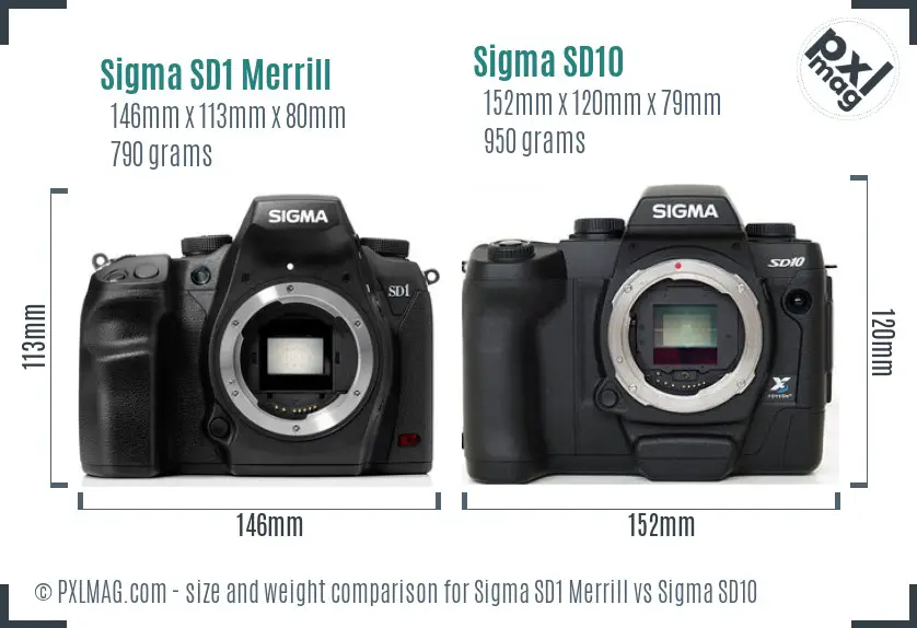 Sigma SD1 Merrill vs Sigma SD10 size comparison