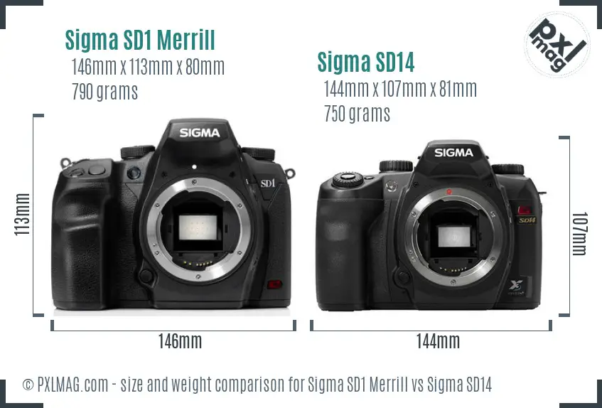 Sigma SD1 Merrill vs Sigma SD14 size comparison