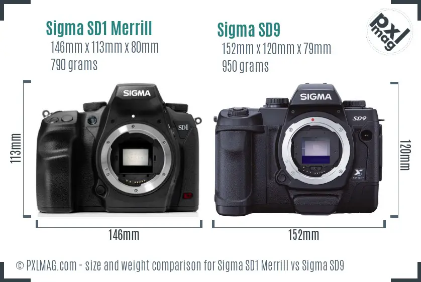 Sigma SD1 Merrill vs Sigma SD9 size comparison