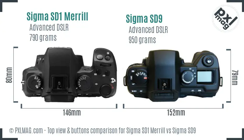 Sigma SD1 Merrill vs Sigma SD9 top view buttons comparison