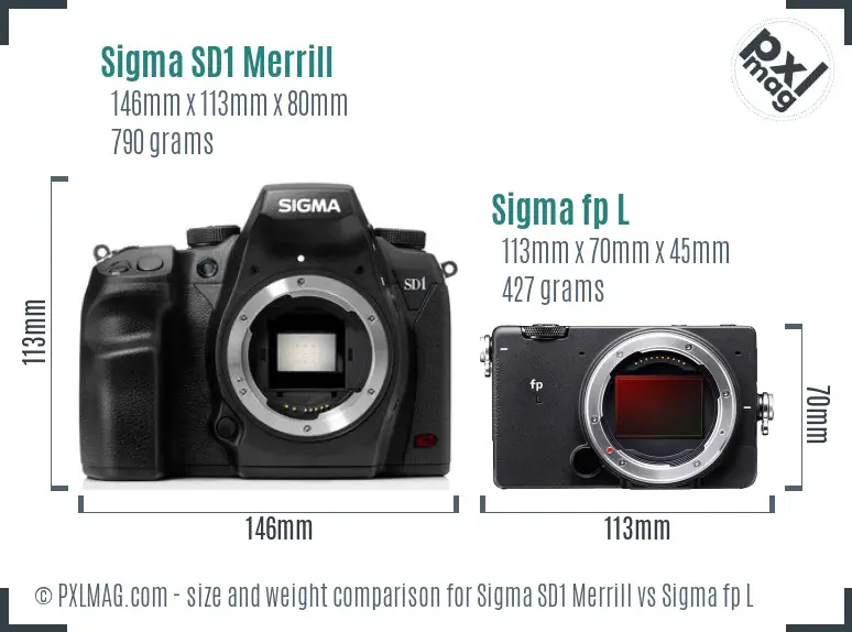 Sigma SD1 Merrill vs Sigma fp L size comparison
