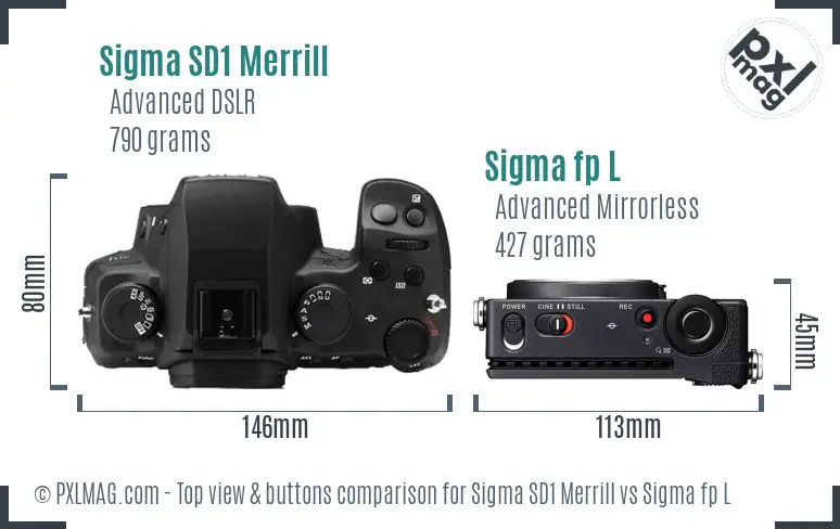 Sigma SD1 Merrill vs Sigma fp L top view buttons comparison