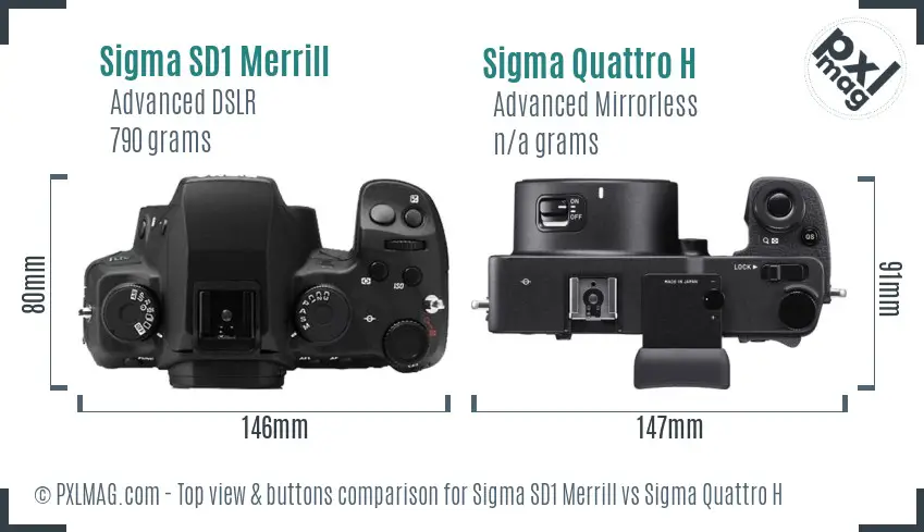 Sigma SD1 Merrill vs Sigma Quattro H top view buttons comparison
