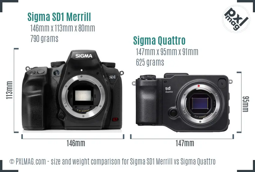 Sigma SD1 Merrill vs Sigma Quattro size comparison