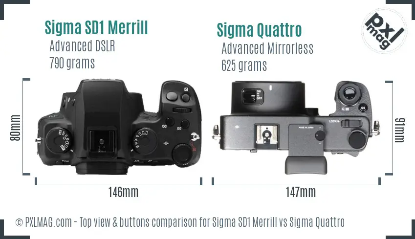 Sigma SD1 Merrill vs Sigma Quattro top view buttons comparison