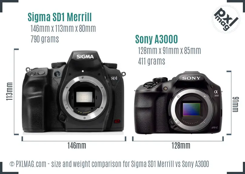 Sigma SD1 Merrill vs Sony A3000 size comparison