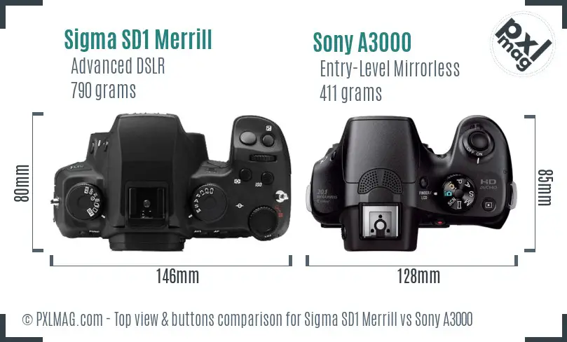 Sigma SD1 Merrill vs Sony A3000 top view buttons comparison