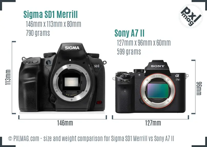 Sigma SD1 Merrill vs Sony A7 II size comparison