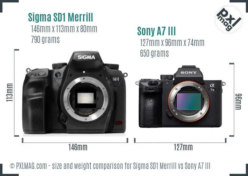 Sigma SD1 Merrill vs Sony A7 III size comparison