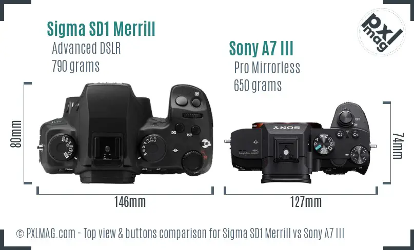 Sigma SD1 Merrill vs Sony A7 III top view buttons comparison