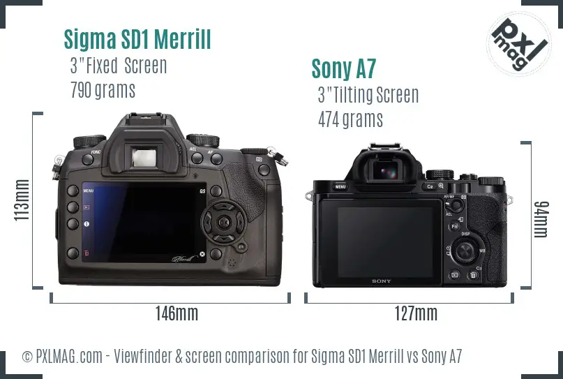 Sigma SD1 Merrill vs Sony A7 Screen and Viewfinder comparison