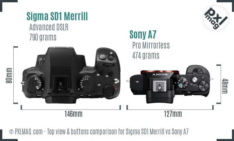 Sigma SD1 Merrill vs Sony A7 top view buttons comparison