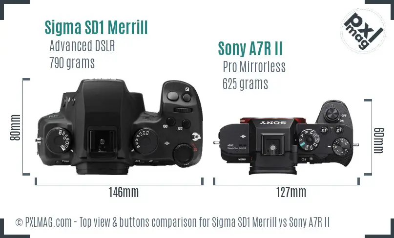 Sigma SD1 Merrill vs Sony A7R II top view buttons comparison