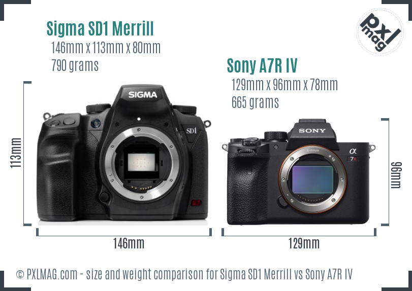 Sigma SD1 Merrill vs Sony A7R IV size comparison