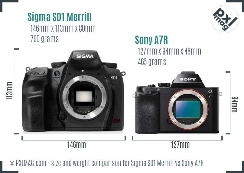 Sigma SD1 Merrill vs Sony A7R size comparison