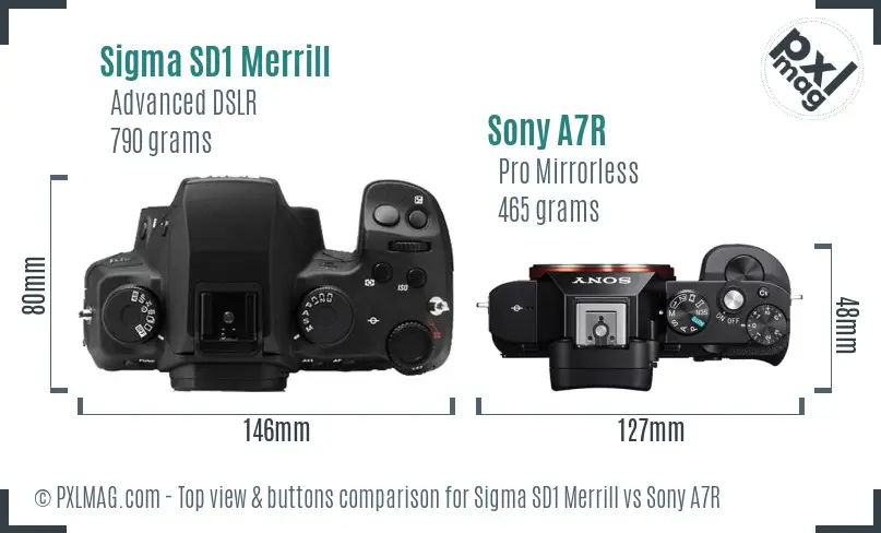 Sigma SD1 Merrill vs Sony A7R top view buttons comparison
