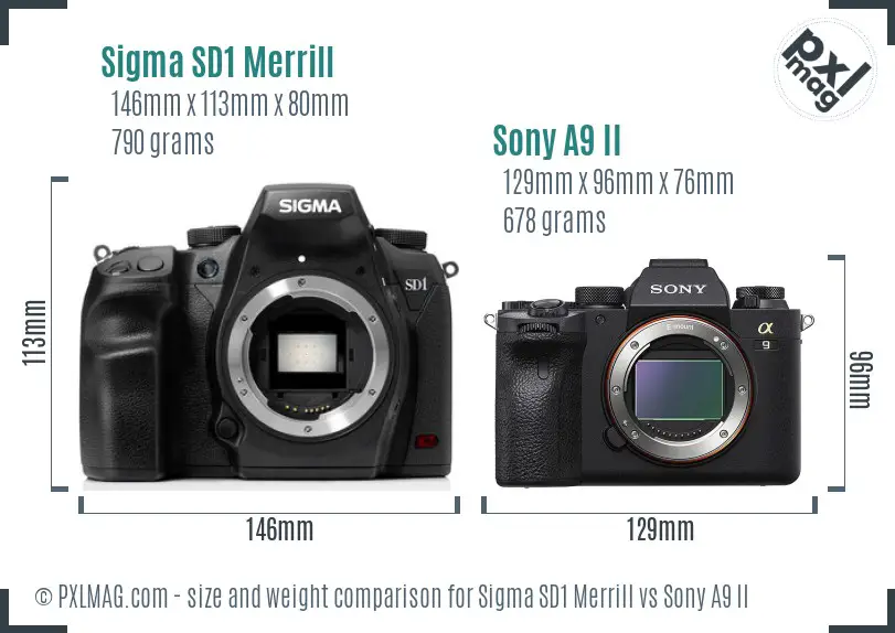 Sigma SD1 Merrill vs Sony A9 II size comparison