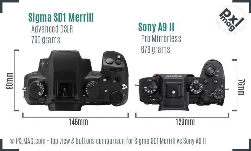 Sigma SD1 Merrill vs Sony A9 II top view buttons comparison