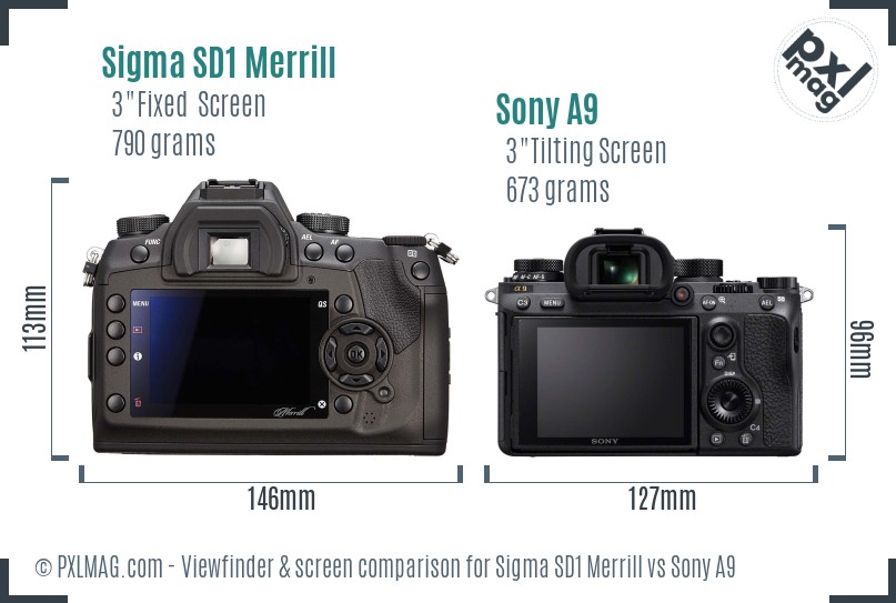 Sigma SD1 Merrill vs Sony A9 Screen and Viewfinder comparison