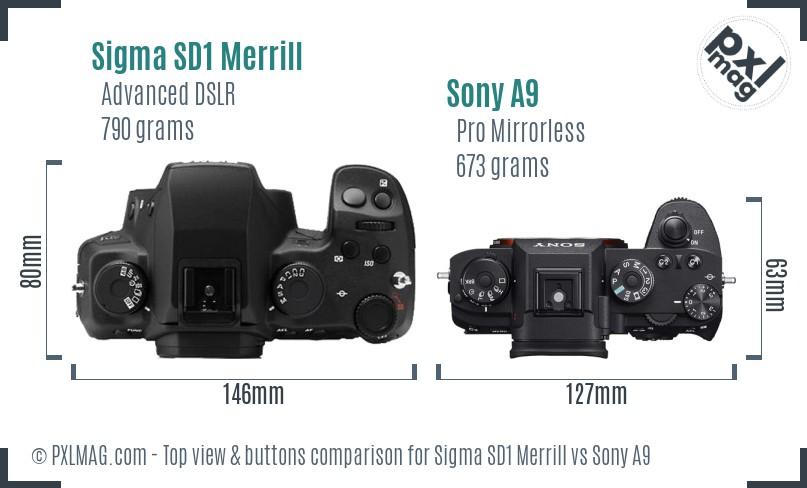 Sigma SD1 Merrill vs Sony A9 top view buttons comparison