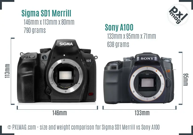 Sigma SD1 Merrill vs Sony A100 size comparison