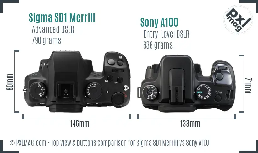 Sigma SD1 Merrill vs Sony A100 top view buttons comparison
