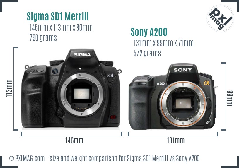Sigma SD1 Merrill vs Sony A200 size comparison