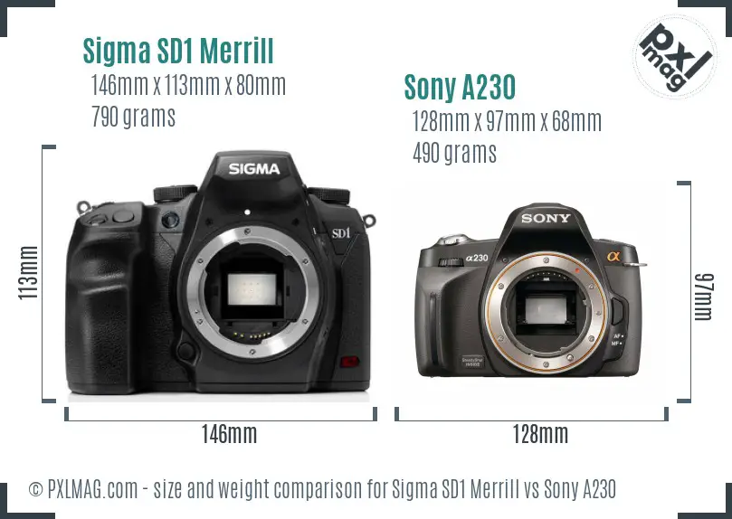 Sigma SD1 Merrill vs Sony A230 size comparison