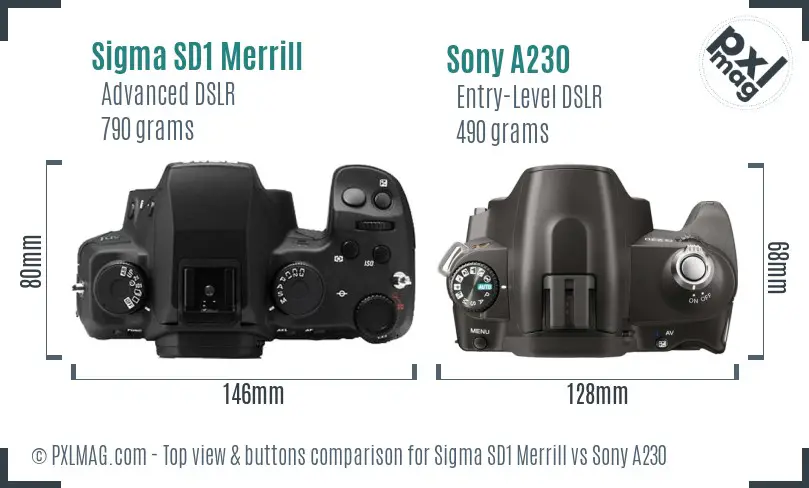 Sigma SD1 Merrill vs Sony A230 top view buttons comparison