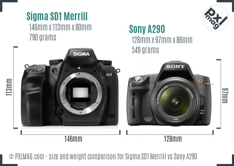 Sigma SD1 Merrill vs Sony A290 size comparison