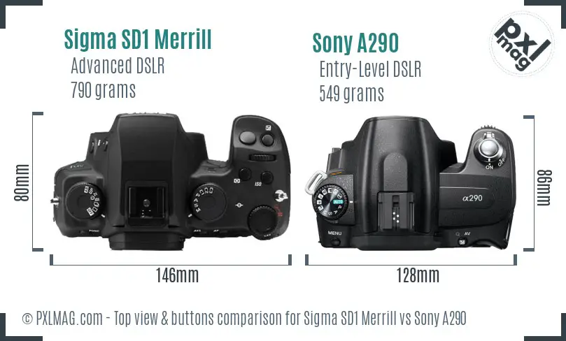 Sigma SD1 Merrill vs Sony A290 top view buttons comparison