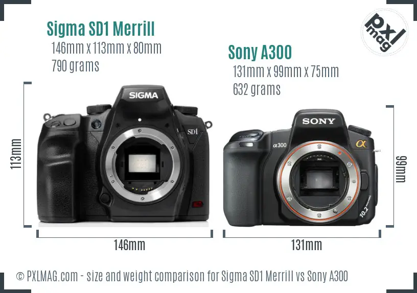 Sigma SD1 Merrill vs Sony A300 size comparison